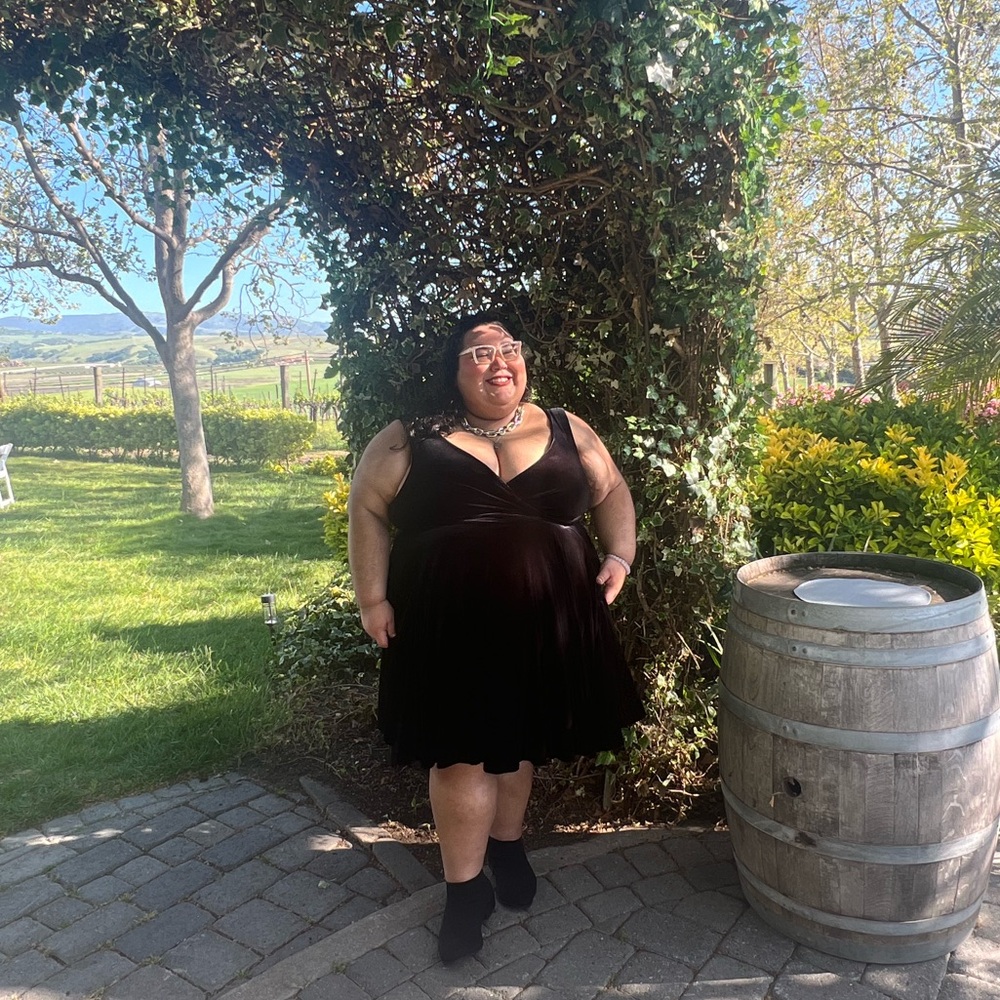Black Velvet A Line Evening Party Cocktail Dress
